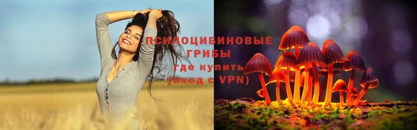 трава Арсеньев