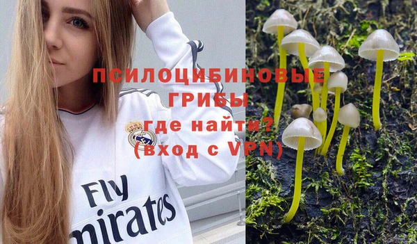 шишки Покров